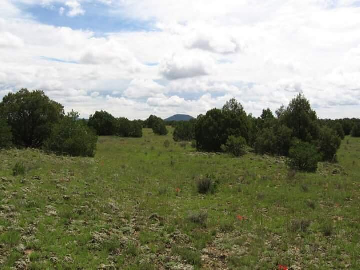 James Valley Ranch Tract 6, 1038841, Ramah, Vacant land,  for sale, Eric Pruitt, Berkshire Hathaway HomeServices New Mexico Properties