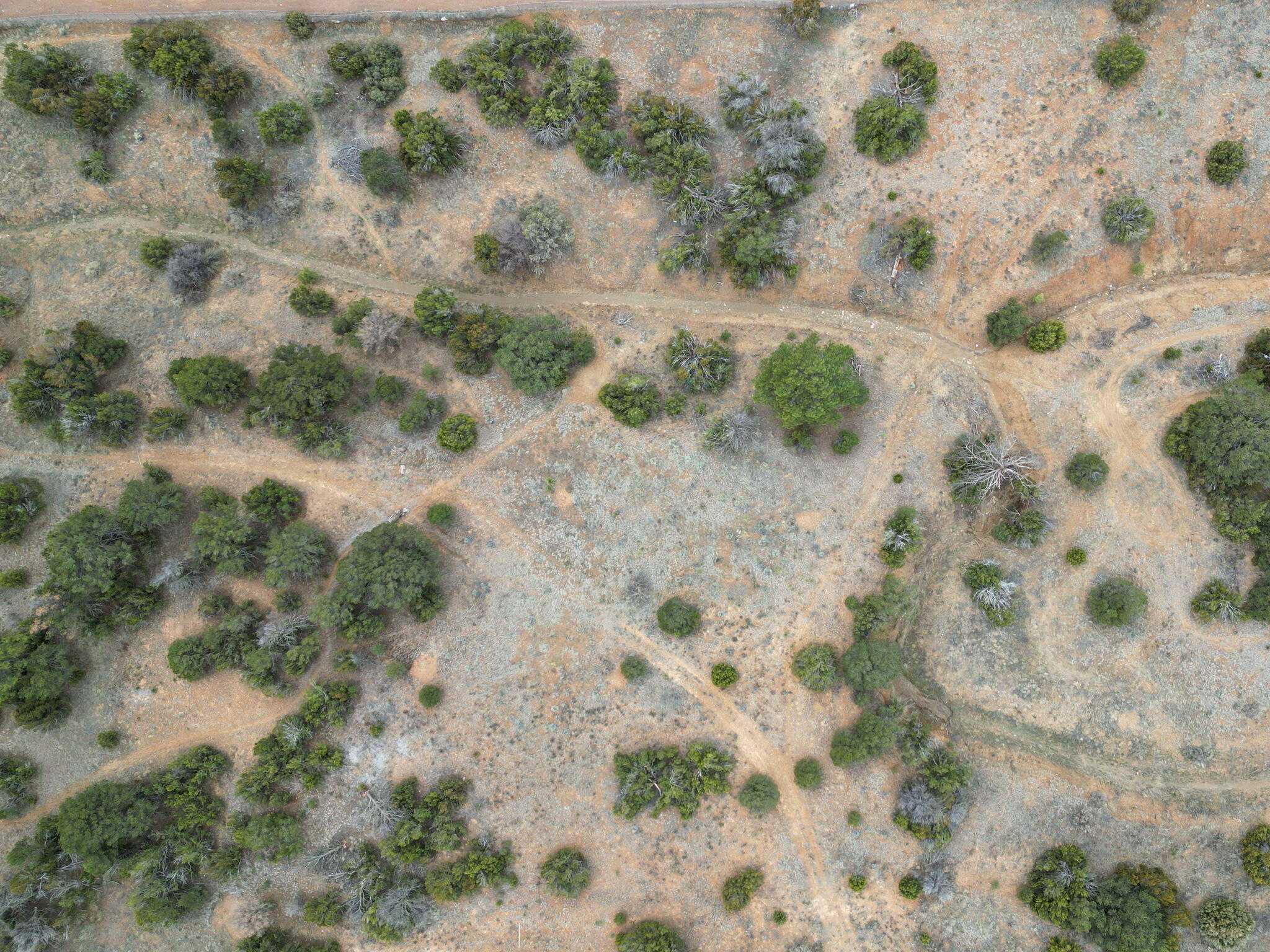 15 Shady Oak, 1059526, Tijeras, Vacant land,  for sale, Eric Pruitt, Berkshire Hathaway HomeServices New Mexico Properties