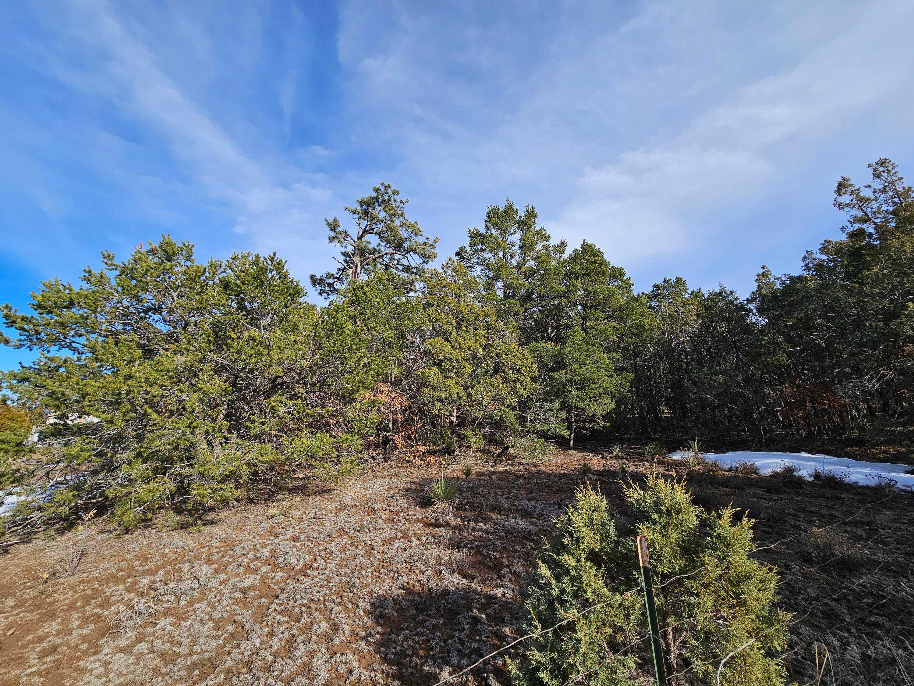 Nm 337, 1060019, Tijeras, Vacant land,  for sale, Eric Pruitt, Berkshire Hathaway HomeServices New Mexico Properties